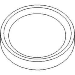 Išmetimo vožtuvo sėdynė AV105028