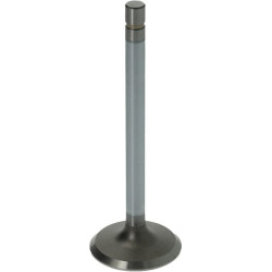 Įleidimo vožtuvas JD R79623N