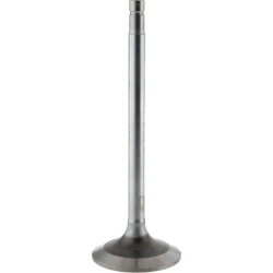 Įsiurbimo vožtuvas R97491