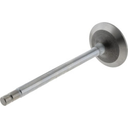 Įsiurbimo vožtuvas R97491