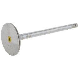 Įsiurbimo vožtuvas R97491