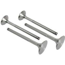 Įleidimo vožtuvas (x4) VPA1200