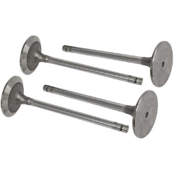 Įleidimo vožtuvas (x4) VPA7320