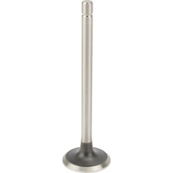 Išmetimo vožtuvas NH 4673608N