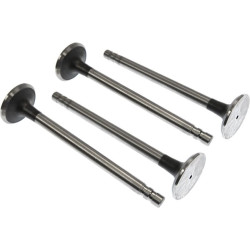 Išmetimo vožtuvas (x4) VPA1502