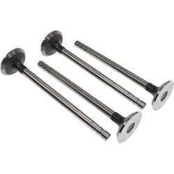 Išmetimo vožtuvas (x4) VPA1571