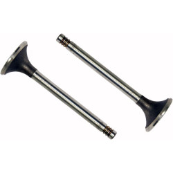 Išmetimo vožtuvas (x4) VPA1850