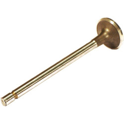 Išmetimo vožtuvas (x4) VPA1550