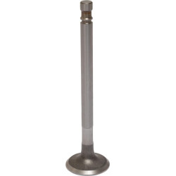 Išmetimo vožtuvas 4579417N