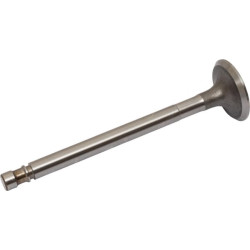 Išmetimo vožtuvas 4579417N