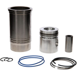 Variklio remonto komplektas 16000992