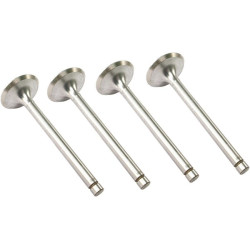 Įleidimo vožtuvas VPA1420