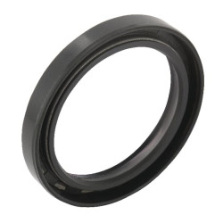 Priekinio variklio sandariklis, 4 cilindrų 2418F436GP