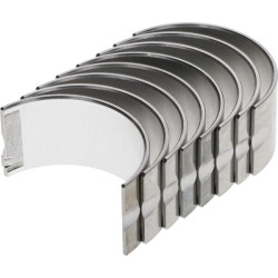 Laikiklio guolių komplektas 50503001M