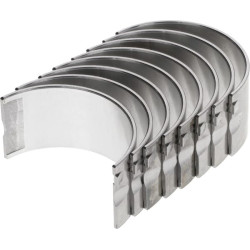 Švaistiklio guolių komplektas 50503000M