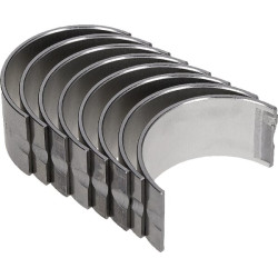 Švaistiklio guolių komplektas 50503002M