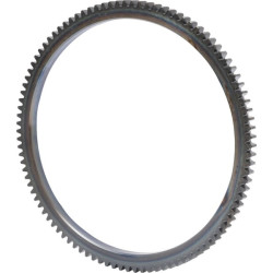 Smagračio žiedinė pavara 311/315 868987N