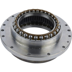 Pavaros žiedas 001106833