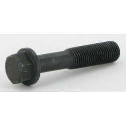 Švaistiklio varžtas R80033N