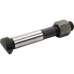 Švaistiklio varžtas 501004026A1