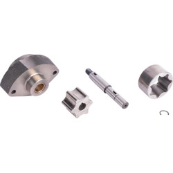 Variklis RR004415246