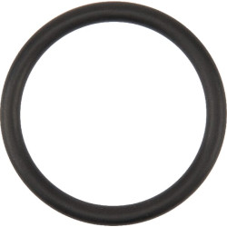 Alyvos pildymo angos dangtelis V614603540