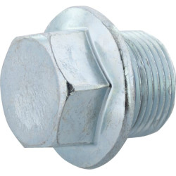 Išleidimo kamštis 1570733750