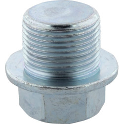 Išleidimo kamštis 1570733750