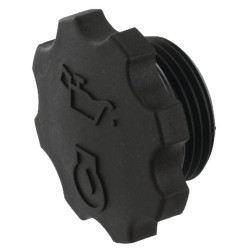 Alyvos pildymo angos dangtelis CNH 298689A1