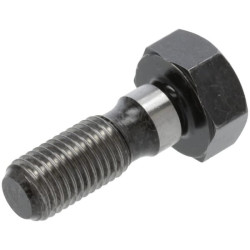 Smagračio varžtas 1526125160