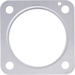 Duslintuvo tarpiklis 1J52412230