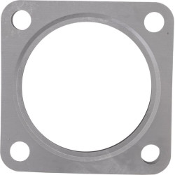 Duslintuvo tarpiklis 1J52012230