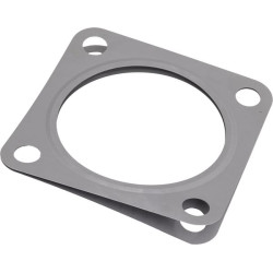 Duslintuvo tarpiklis 1J52012230