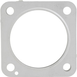 Duslintuvo tarpiklis 1J52512230