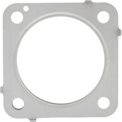 Duslintuvo tarpiklis 1J52512230