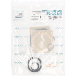 Variklio apatinių tarpiklių komplektas 1G17799365