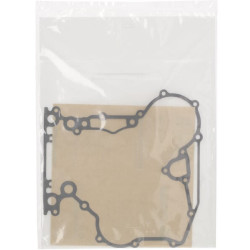 Variklio apatinių tarpiklių komplektas 1G17799365