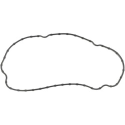 Vožtuvo dangtelio tarpiklis 1G46014520