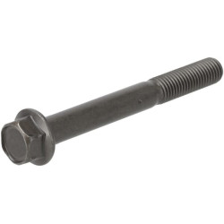 Cilindro galvutės varžtas 1921503450