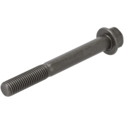 Cilindro galvutės varžtas 1921503450