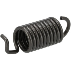 Gubernatoriaus pavasaris 1628556412