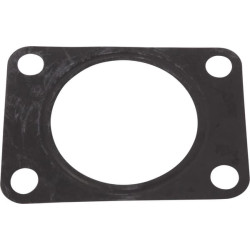 Kolektoriaus tarpiklis 000709840N