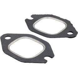 Išmetimo perjungiklio sandariklis tinka NH 98489690KR