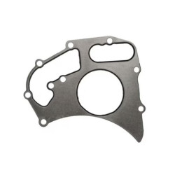 Vandens siurblio tarpiklis 15952510OMP