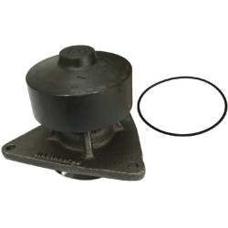 Vandens siurblys VPE1139