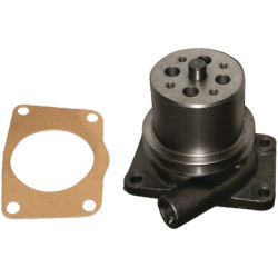 Vandens siurblys VPE1136