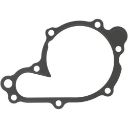 Vandens siurblio tarpiklis 1G77273430