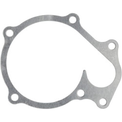 Vandens siurblio tarpiklis 1C01073430