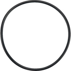 Vandens siurblio tarpiklis F312200610020N