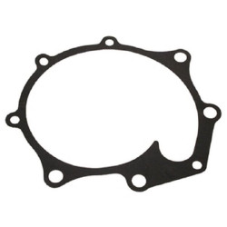 Vandens siurblio tarpiklis (x10) VPE2613